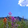 Colorado Colors